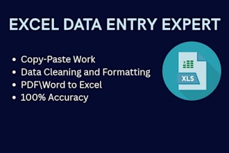do excel data entry and spreadsheet formatting expert