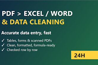 convert PDF to excel or word, data entry and data cleaning