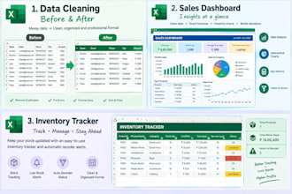 clean and format and organize your excel data profession
