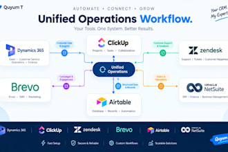 setup dynamics 365, clickup, zendesk, brevo, airtable, netsuite CRM