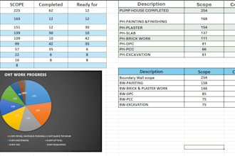 create an advanced excel dashboard and mis report