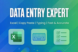 do accurate data entery excel work and copy paste quickly