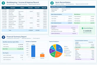 provide professional bookkeeping and accounting service