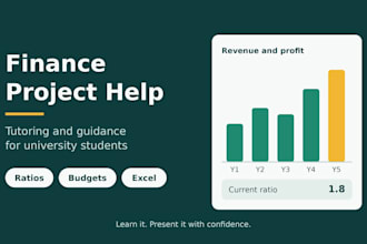 guide you on finance and accounting university projects