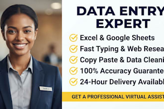 expert excel data entry