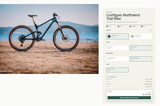 customize shopify and ecommerce stores with custom code