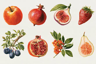 illustrate best botanical illustration