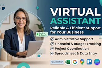 virtual assistant for admin, finance, and project