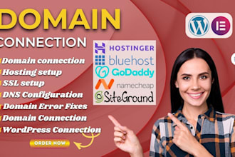 fix and connect your domain to your wordpress website