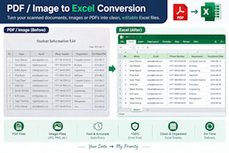 do data entry, typing, and excel work