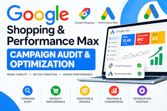 audit and optimize google shopping and performance max campaigns