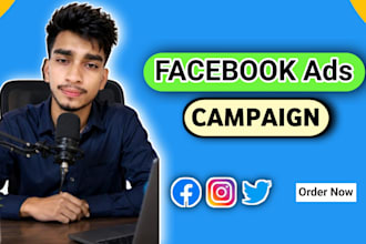 manage facebook ads campaign, meta ads