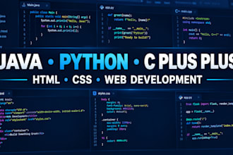 do java python c plus plus programming and html css website development
