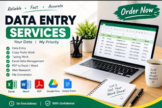 do accurate data entry, typing and copy paste