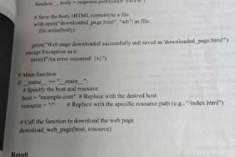 do professional data entry and copy paste work