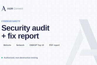 perform a website and network security audit with a fix report