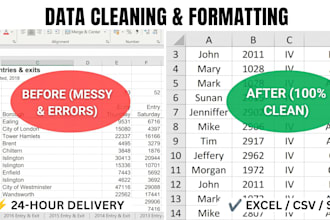 clean, organize, and prepare messy excel, CSV, or survey data