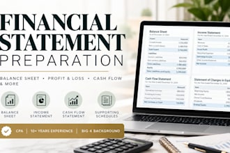 prepare professional US gaap financial statements