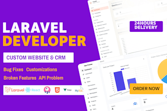 laravel bug fix, upgrade laravel website, API error fix