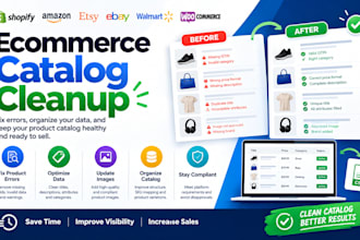 clean organize and optimize your ecommerce product catalog
