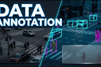 do data labeling, image annotation, video annotation and segmentation for ai