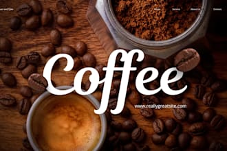 create a professional canva or powerpoint presentation