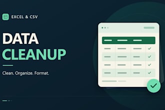 clean organize and format your excel or CSV data