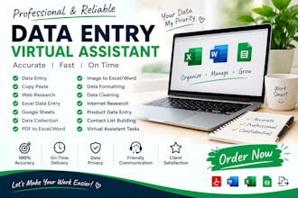 do professional data entry, copy paste and excel work