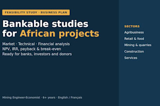 write a bankable feasibility study and business plan
