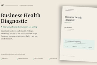 diagnose your business performance and deliver executive insights
