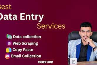 do accurate data entry, data collection web scraping excel data cleaning
