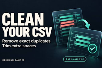 clean a small CSV file and remove exact duplicates