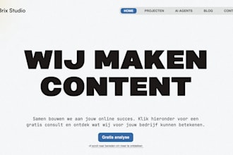 professionally proofread and edit your dutch or english text
