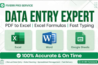do data entry, excel work, pdf to excel, and typing work