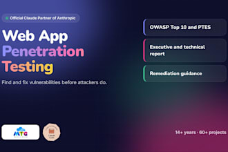 do web application penetration testing and vulnerability assessment