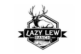 design an attractive excellent logo for a new ranch