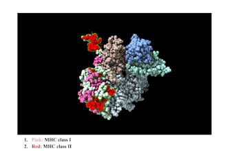 immunoinformatics, structural biology,and sequence analysis