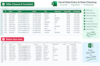 do excel data entry, data cleaning and excel formatting