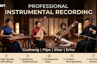 record guzheng, pipa, sitar, erhu for your music