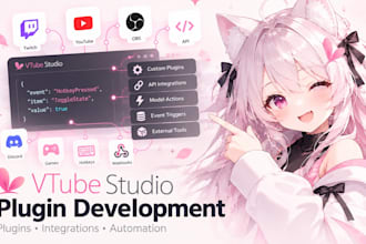 develop a custom vtube studio plugin or integration