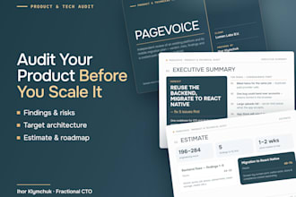 do an independent technical audit of your software product and team