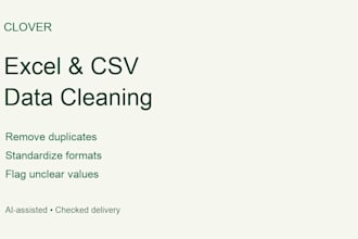 clean and organize your excel or CSV data