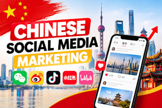 be your social media manager in the chinese market
