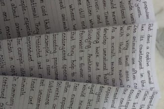 provide beautiful handwritten work