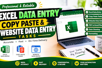 do excel data entry, copy paste and website data entry tasks