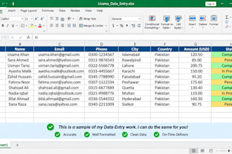 do accurate data entry in excel and google sheets