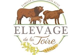do agriculture ranch cow farm logo design 24 hours