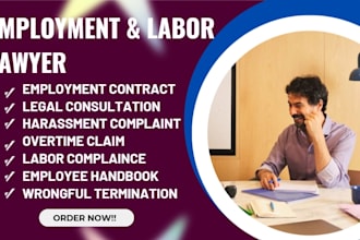 provide expert employment law advice and contract review
