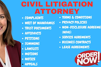 expertly draft, review and edit a writ of mandamus complaint for uscis delays