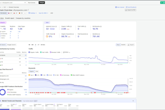 do a complete SEO audit with a prioritized action plan
